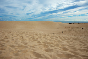 Fototapeta na wymiar Desert dunes leading to the sea 