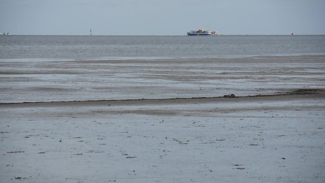 Bassa marea sul mare di Wadden