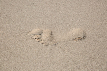 Das Leben hinterlaesst Spuren. Ein Fussabdruck in feinem Sand.