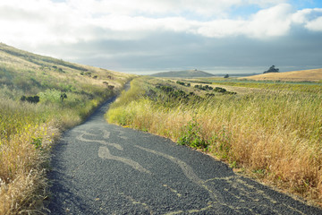 Countryside road in rural landscape