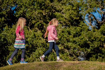 Two little girls, sisters, siblings, walking on grassy hill in the park