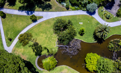 Drone photo of park with a dead tree in the middle