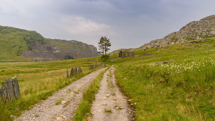 The ruin of Capel Rhosydd near Blaenau Ffestiniog, Gwynedd, Wales, UK - with Cwmorthin Quarry in the background
