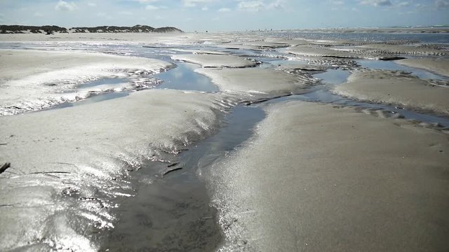 Bassa marea sul mare di Wadden