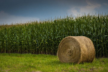 Hay Bail in cornfield in Boone County...Photo by Kyle Spradley | www.kspradleyphoto.com