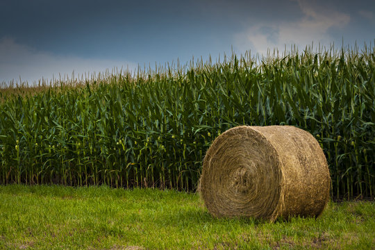 Hay Bail in cornfield in Boone County...Photo by Kyle Spradley | www.kspradleyphoto.com