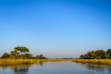 Vast landscape of the Okavango Delta, water, dried grasses, blue sky, and a small islands with trees and bushes, Botswana, Africa
