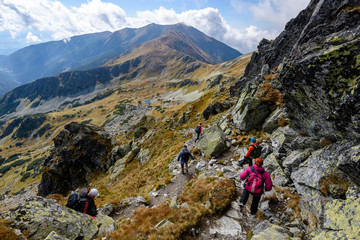 slovakian carpathian mountains. sunny hill tops in summer