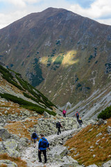slovakian carpathian mountains. sunny hill tops in summer