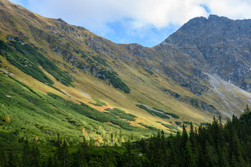Obraz premium slovakian carpathian mountains in autumn with green forests