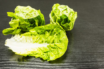 Romaine lettuce (Lactuca sativa L.).