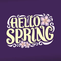 Vector poster for Spring season, lettering typography for calligraphic spring sign, decorative handwritten font for pastel text hello spring, vintage springtime logo with pink rose of sharon on purple