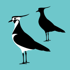 lapwing vector illustration flat style profile side silhouette