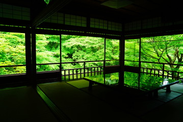 京都瑠璃光院の青もみじと床もみじ