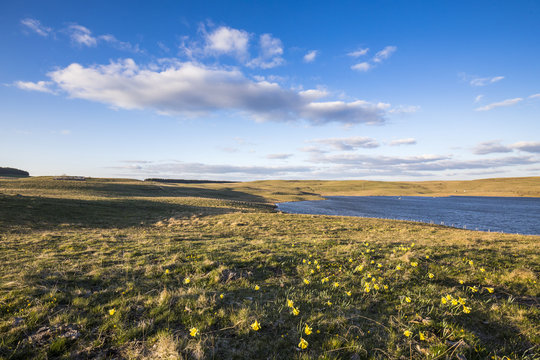 Lac des Moines, Aubrac
