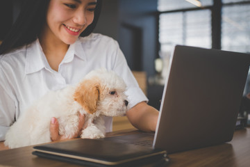 woman holding adorable dog at cafe restaurant. female teenager student with pet & computer at coffee shop. people, animal, lifestyle concept