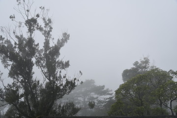 BAGUIO CITY, PHILIPPINES, DECEMBER 13, 2017, The Dominican Hill Retreat House OR Diplomat Hotel, an abandoned structure and a reportedly haunted place at top Dominican Hill