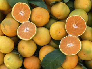 delicious, fresh and natural mandalines