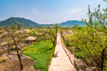 Fototapeta na wymiar Beautiful green in spring morning of Naganeupseong Folk Village in Suncheon, A Traditional Hanok Village in South Korea.