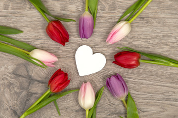Tulpen und Herz