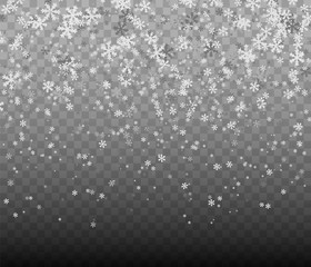 Big and small snowflakes falling from the sky