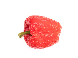 Side view of old wrinkled red bell pepper on white background