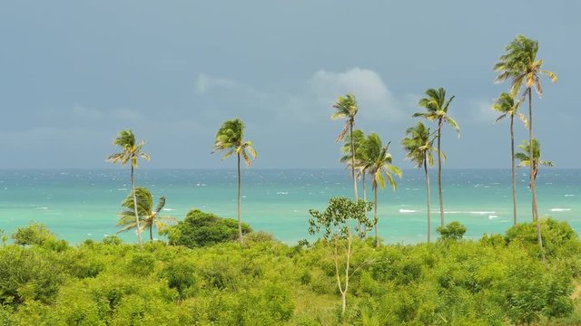 Tiwi Beach view backplate 02