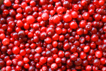 Close-up of red berries in a big pile. Top view