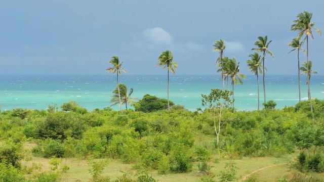 Tiwi Beach view backplate 01
