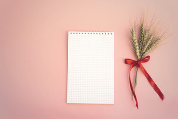 group of green spikes with red ribbon and empty notebook on pink background
