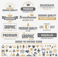 Vintage Retro Vector Logo for banner