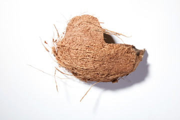 coconut in white background