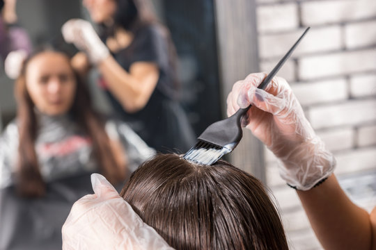 Close up of female hairdresser's hands are dyeing client's hair in front of the mirror