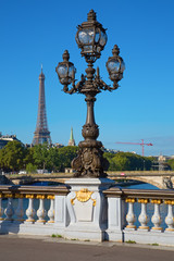 Fototapeta na wymiar Bridge of Alexandre III in Paris