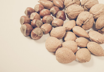 Different types of nuts in a shell on a white background.