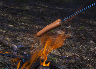 Hot dogs over the fire