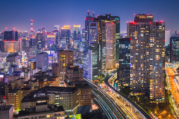 Fototapeta na wymiar Night skyline of Tokyo, Japan