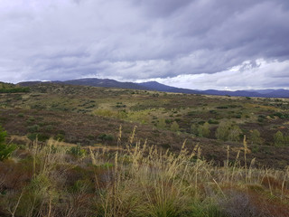 paesaggio di Sardegna