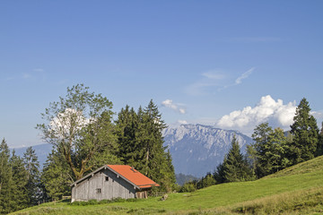 Obraz premium Stall der Schoißer Alm im Sudelfeldgebiet
