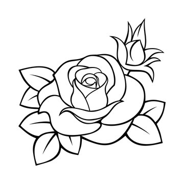 Vector black and white contour drawing of a rose.