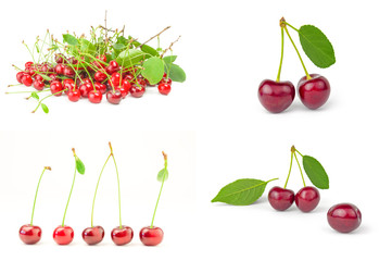 Collage of Cherry on a isolated white background