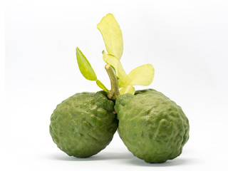Obraz premium close up group of fresh bergamot with green leaves isolated on white background. benefits of bergamot for beauty and health concept