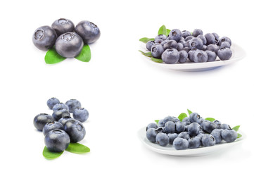 Collection of fresh blueberry isolated on a white background cutout