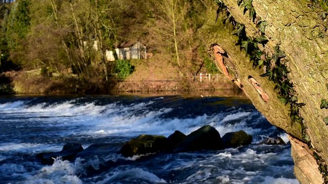 Wehr in der Wupper