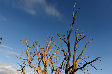 Sunrise over the Grand Canyon