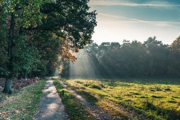 Feldweg, Sonnenstrahlen