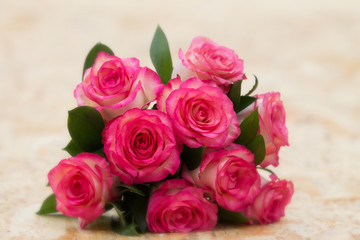 Beautiful bouquet of nine pink roses on a creamy background