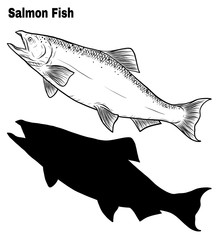 Salmon art highly detailed in line art style.Fish vector by hand drawing.Fish tattoo on white background.Black and white fish vector on white background.Salmon fish sketch for coloring book.