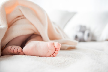 Close up of cute little feet lying under soft covering. Focus on them. Copy space in right side