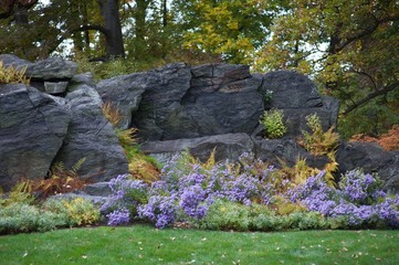 Rock scape